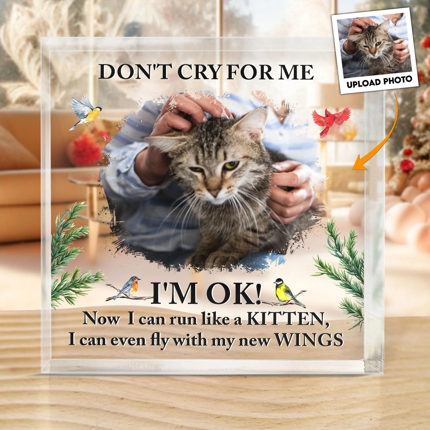 Don't Cry For Me – Kitten Version - Custom Personalized Acrylic Photo Plaque, A Heartwarming Gift for Cat Lovers