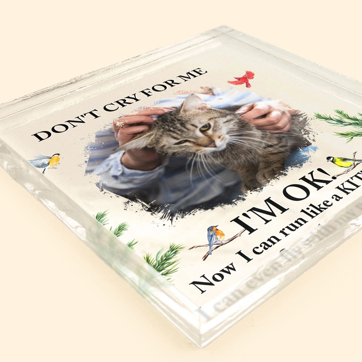 Don't Cry For Me – Kitten Version - Custom Personalized Acrylic Photo Plaque, A Heartwarming Gift for Cat Lovers